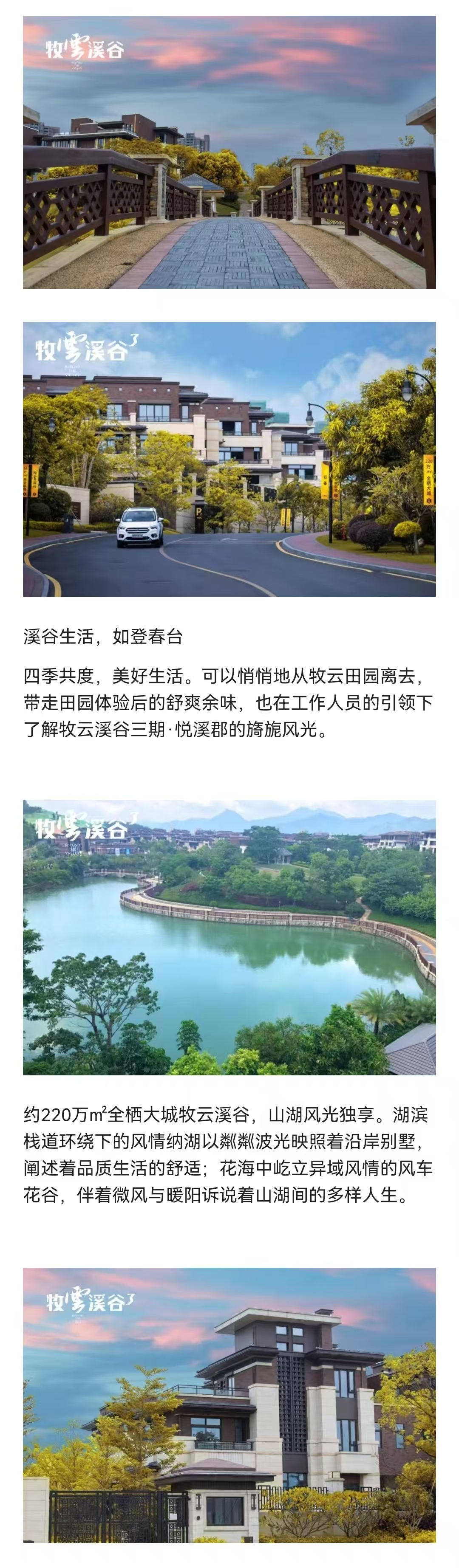 1cf63e393c20f17215ae03c2d9d1c2d.jpg