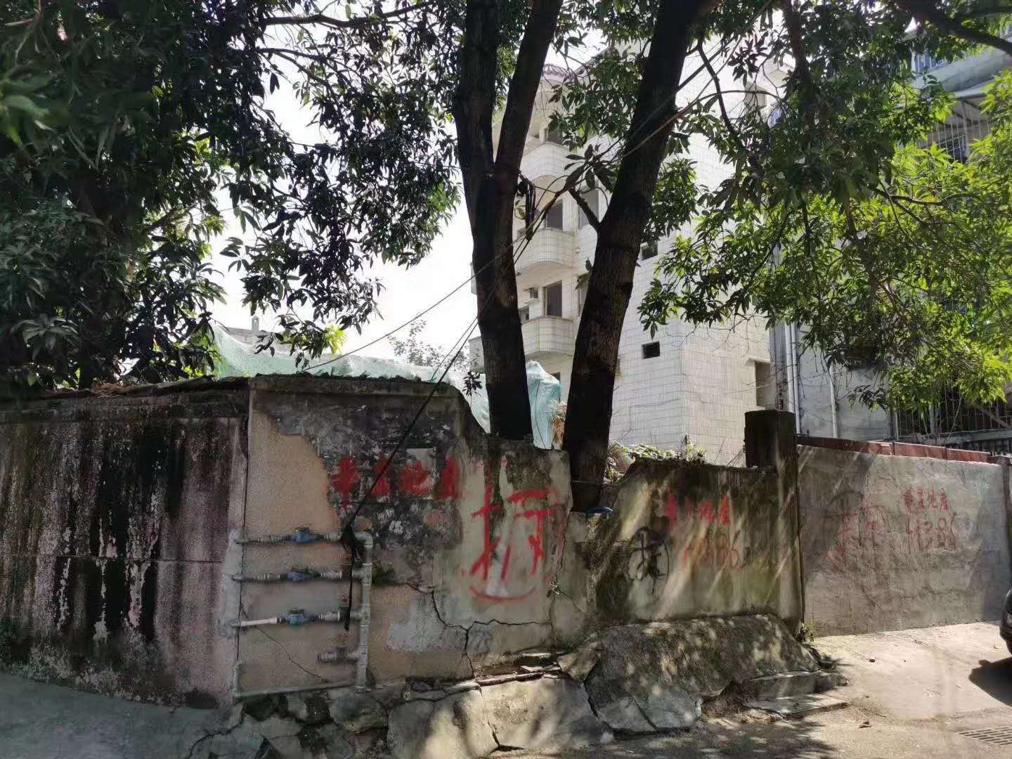 龍崗指標房
