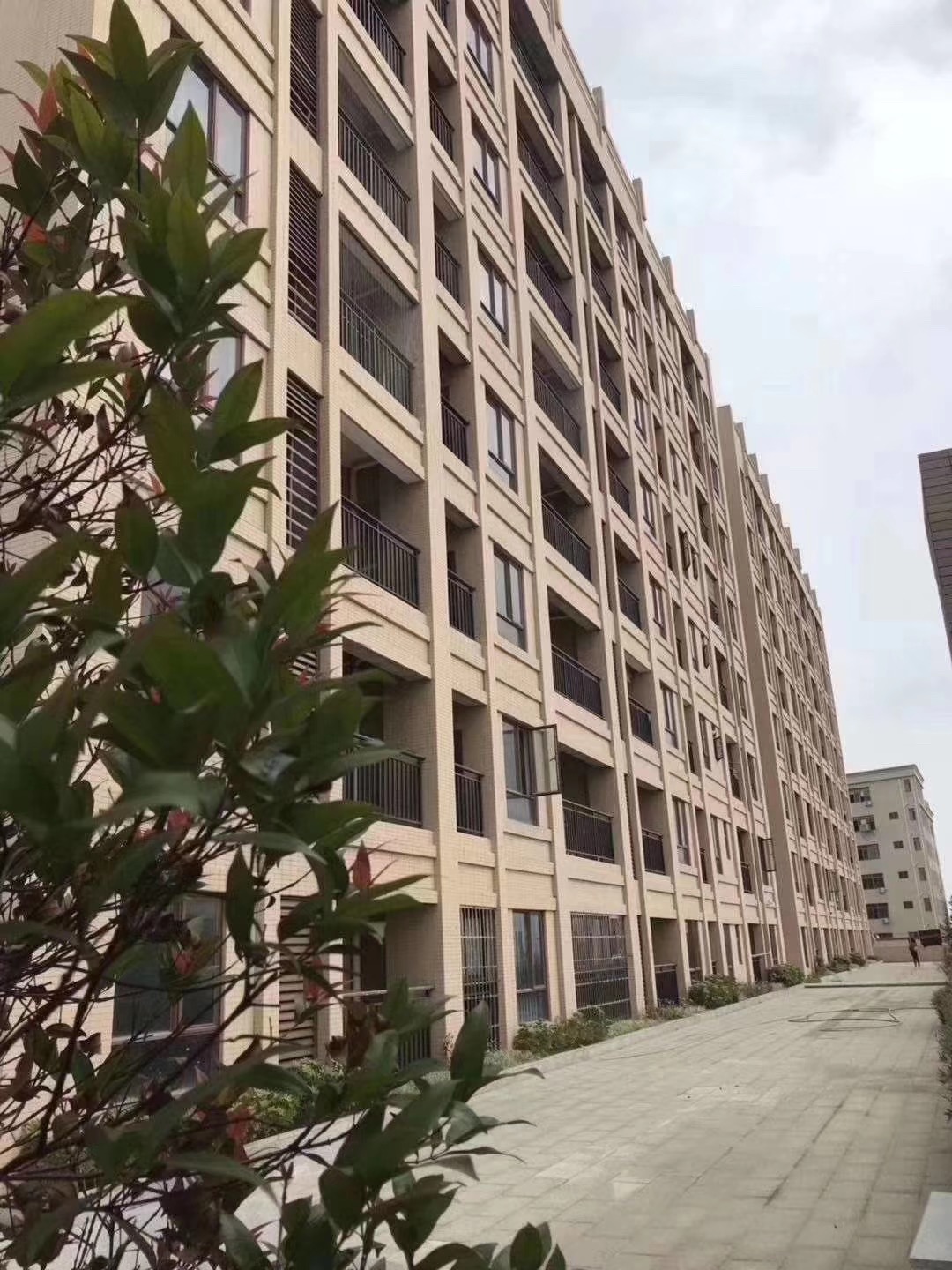 東莞沙田小產(chǎn)權房樓盤新城花園低價出售4580元/㎡