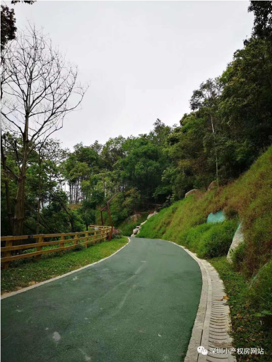 56.8萬入手龍華山水綠園村委統(tǒng)建樓，還在等什么？