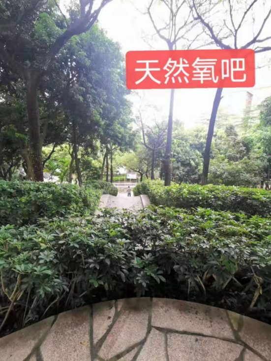 金光華府名校零距離，盡享綠色生態(tài)