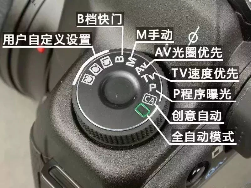 戴一頂呢子帽的張老漢應(yīng)聲站起