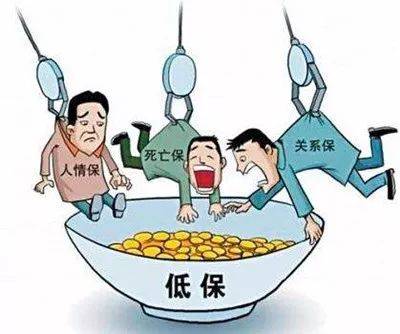 確?；剡w分配全過程在陽光下操作