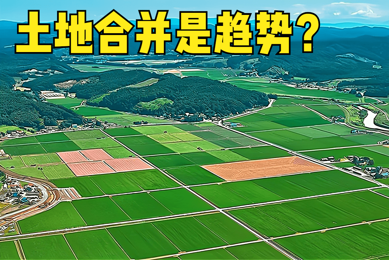 做好我區(qū)農(nóng)村公路四好農(nóng)村路創(chuàng)建