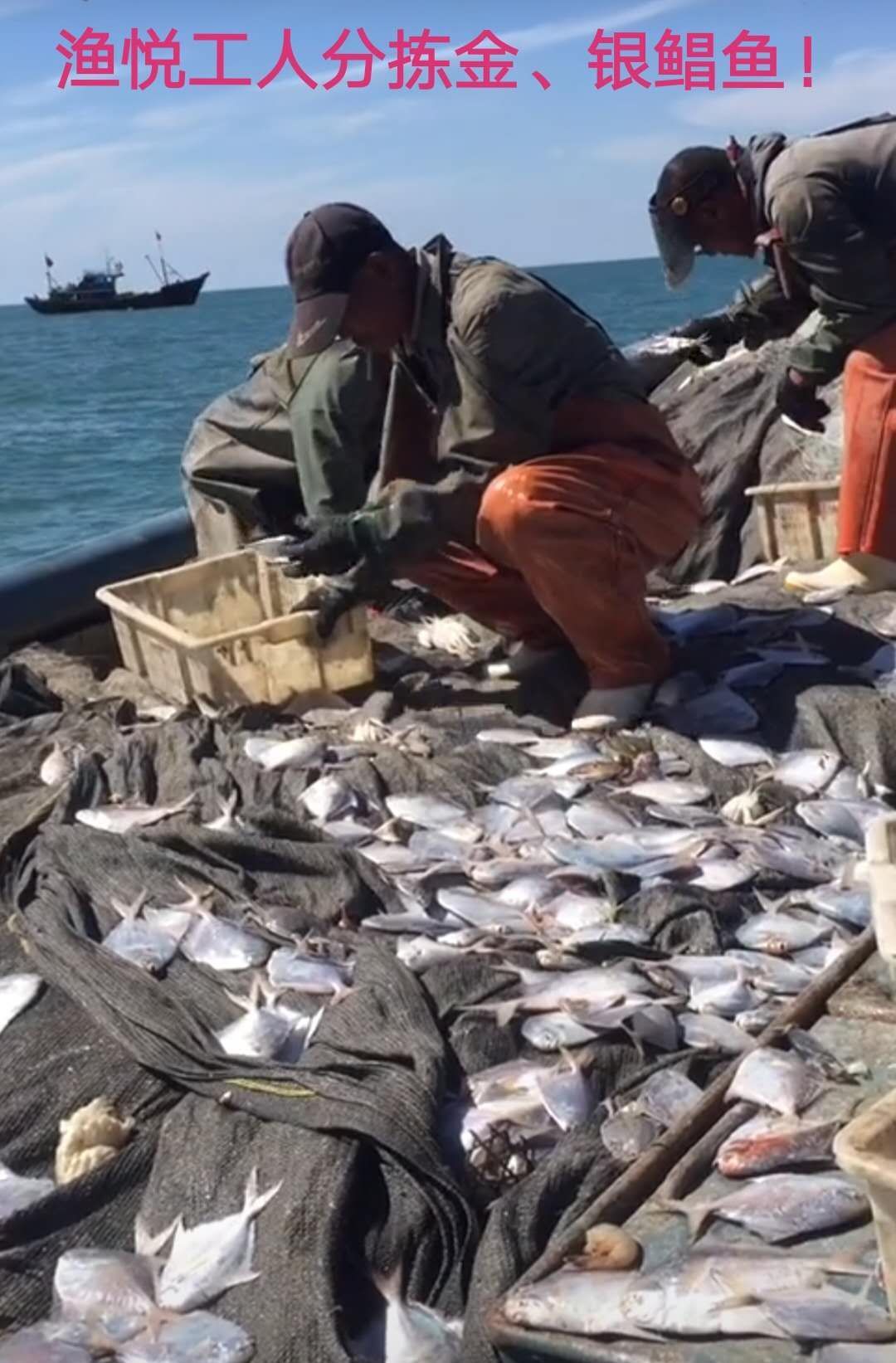 負(fù)責(zé)看守海山學(xué)校西邊的山林
