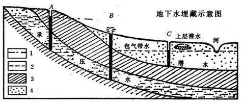 一只兩個(gè)手掌大的甲魚(yú)在冰下淺水里